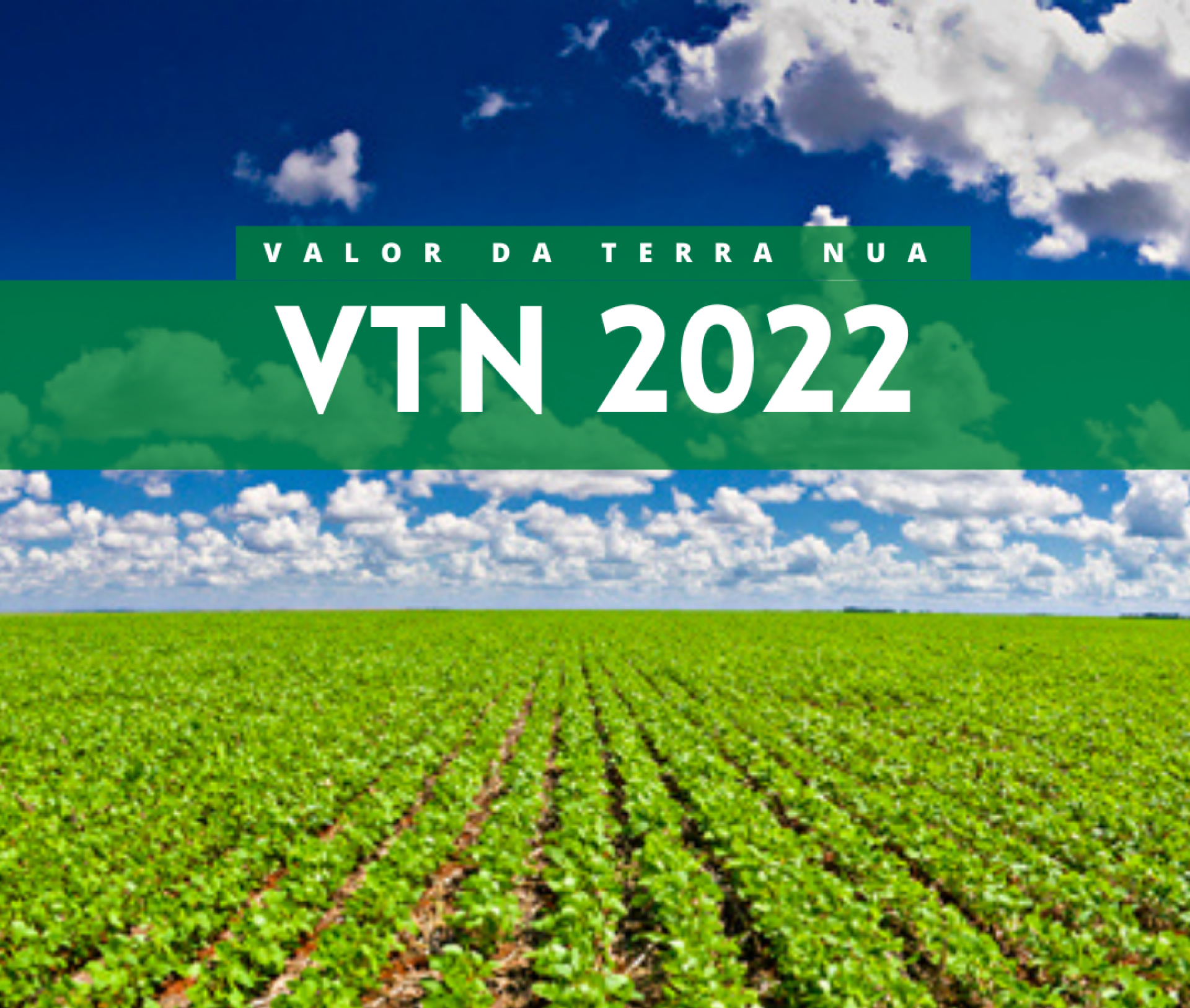 Valor da Terra Nua 2022